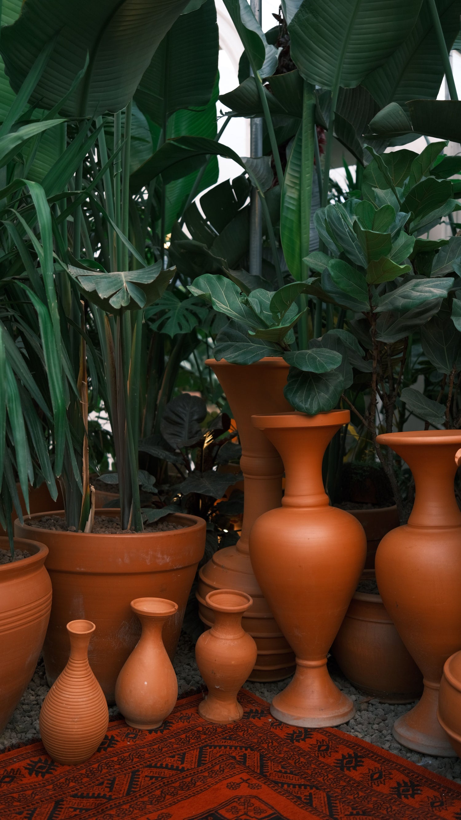 Garden Plants & Utilities